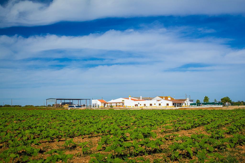 Agro-Turismo Do Roxo Guest House Ervidel Exterior photo